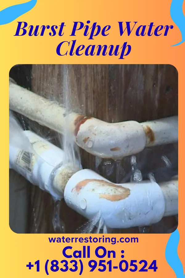 Burst Pipe Water Cleanup in Centreville, MD