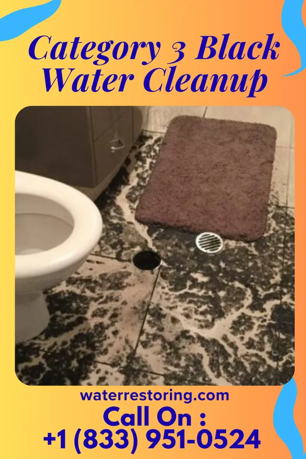 Category 3 Black Water Cleanup in Centreville, MD