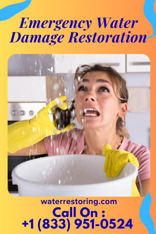 Emergency Water Damage Restoration in Centreville, MD