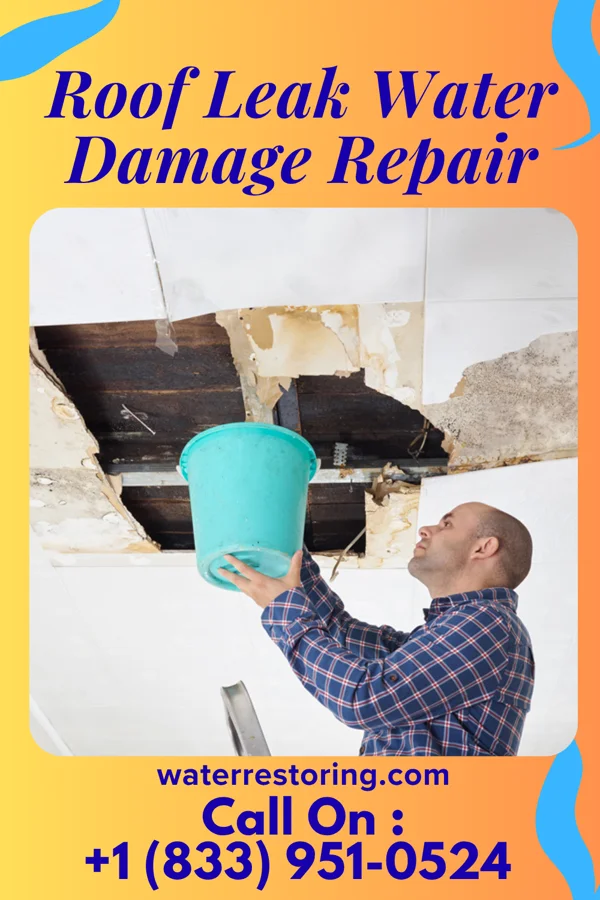 Roof Leak Water Damage Repair in Centreville, MD