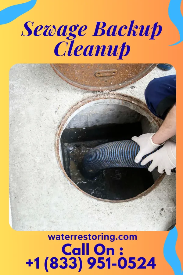 Sewage Backup Cleanup in Centreville, MD