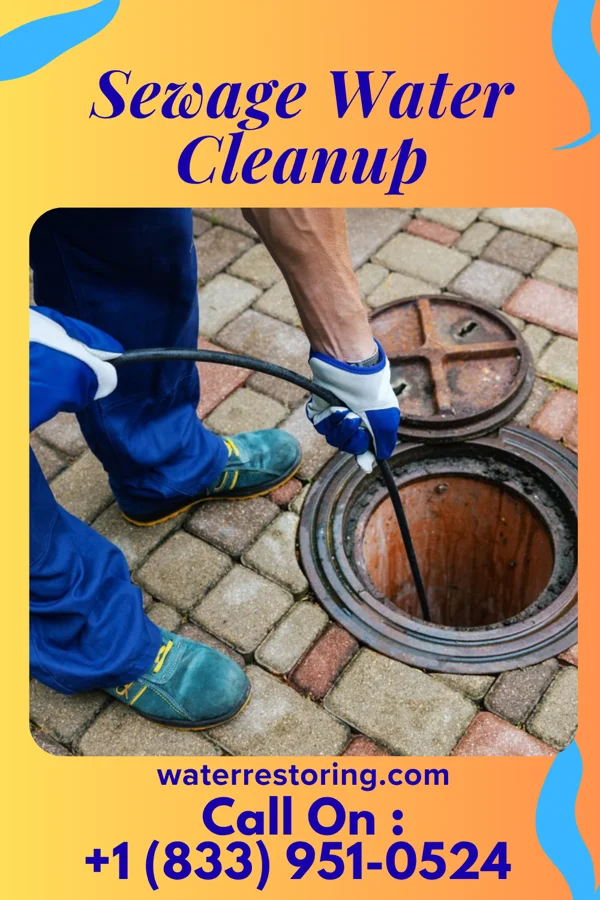 Sewage Water Cleanup in Centreville, MD